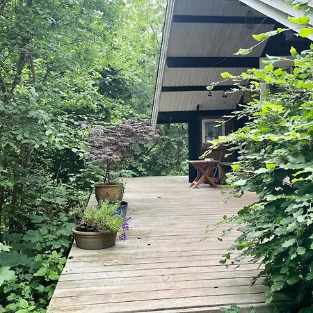 3 Bedroom Pet Friendly In