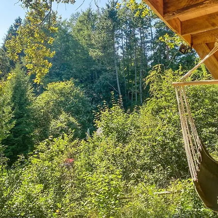 3 Bedroom Pet Friendly In